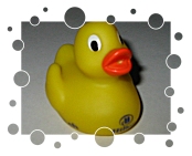 Hilton Hotels, hilton.ch