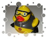 Renaissance Montura Hotel