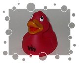 100 years of Girl Guides/Brownies