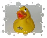 100 years of Girl Guides/Brownies