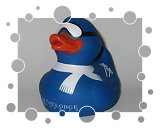 Virgin Limited Edition