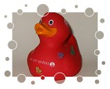 Virgin Limited Edition