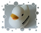 Museumsufer Frankfurt