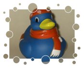 Aral Super Wash Winter Edition