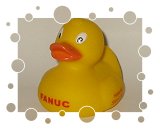 Fanuc