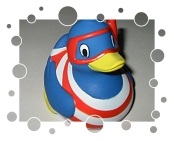 Aral Super Wash Taucher