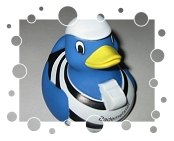 Aral Super Wash Bademeister