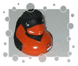 Ruud van der Entchen