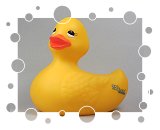 SEEhotel Friedrichshafen