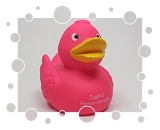 Jugend Ferien-Service