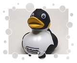 Stadtwerke Rendsburg