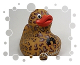 Virgin Limited Edition