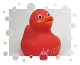 Virgin Limited Edition