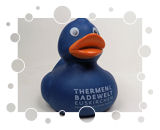 Thermen & Badewelt