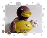 FIFA World Football Museum