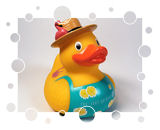 Virgin Limited Edition