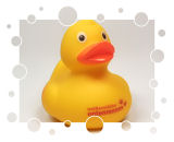 Weißenstädter Entenrennen