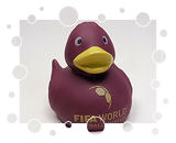 FIFA World Football Museum