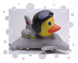 RAF Association