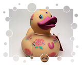 Boydie Duck