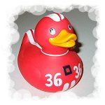 Racer Duck 36