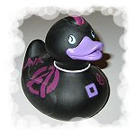 Punk Duck