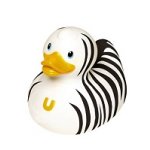 Zebra Duck