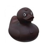 Aroma Duck Coconut