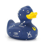 Zodiac Duck