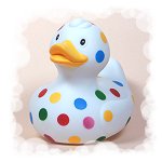 Painter Spot Duck