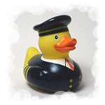 Pilot Duck