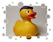 Ente mit Schildkappe