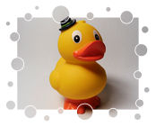 Ente mit Filzhut