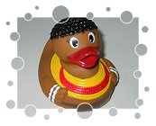 Badeente Afrikanerin