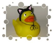 Katzen-Ente