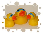 Entenfamilie mit Brillen