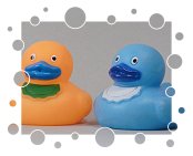 Entenküken mit Latz