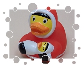 Eskimo-Ente mit Baby