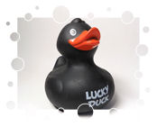 Lucky Duck