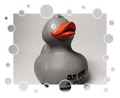Out for a Duck