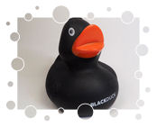 Black Duck