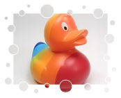 Regenbogen-Ente