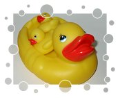 Mama-Ente mit 3 Küken