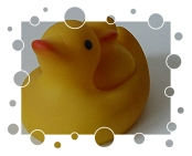 Mama-Ente mit Küken