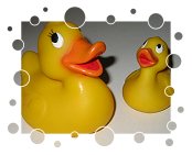 Ernies Original-Quietscheentchen