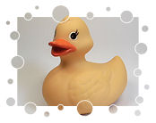 Ernie's Quietscheente