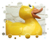 Ernie's Quietscheente