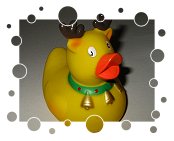 Ente Rudolf