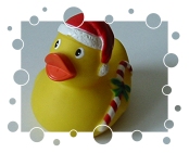 Weihnachts-Ente