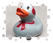 Bubbuls Ltd. Winter Edition